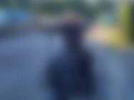 Rob*** - Pfronten