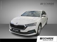 Skoda Octavia, 2.0 TDI Combi Style PKam, Jahr 2021 - Eisenach