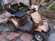 E-Scooter ECONELO J4000 Vierrad Mobil, braun - Langenfeld (Rheinland)