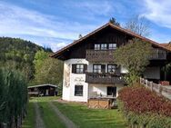 renovierte Eigentumswohnung mit Gartenanteil und Blockhütte in Bodenmais - Bodenmais