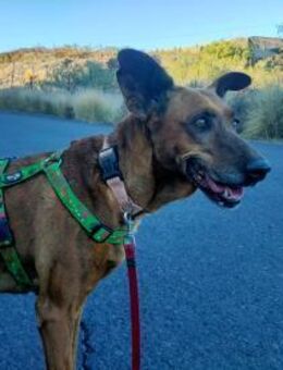 Hada heisst -Fee- - Lorsch (Karolingerstadt)