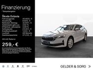 Skoda Octavia, 2.0 TDI Exclusive ||KESYY|, Jahr 2022 - Coburg