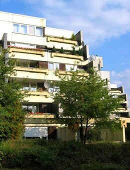 Lichtdurchflutete, frisch sanierte 3-Zimmer-Wohnung mit Balkon im Herzen von Bonn-Tannenbusch - ideal für Paare, kleine Familien oder WGs - Bonn