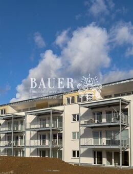 Neubau-Erstbezug: Moderne 3-Zimmer-EG-Wohnung mit Tiefgaragen- und Außenstellplatz - Weikersheim