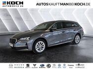 Skoda Octavia, 2.0 TDI Combi Selection, Jahr 2024 - Schorfheide