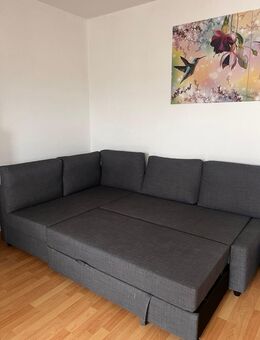 Ecksofa Friheten Ikea - Hof