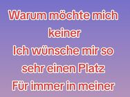 Gesucht wird ein für immer zuhause - Hamm