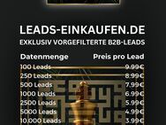 Premium B2B Leads - Exklusive & systematische Interessenfilterung - 2500 Leads Datenpaket (5.99€) - München
