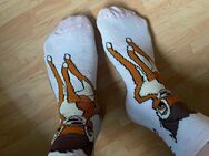 getragene Bambie Socken - Bad Kreuznach