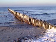 Magst Du (Frau) die Ostsee ? Mann sucht Frau - Magdeburg