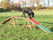 Trixie Dog Activity Agility Steg - L 456 x B 30 x H 64 cm