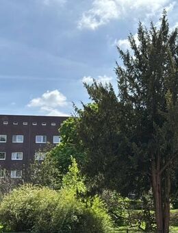 Erstbezug! Hochwertig sanierte 3. Zi.-ETW im pulsierenden Winterhude in ruhigem Rondell! - Hamburg