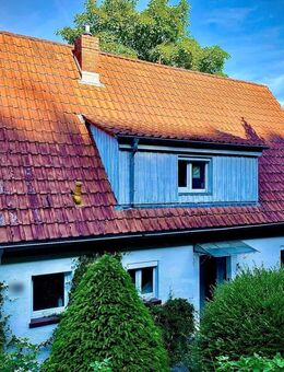 Behagliches Einfamilienhaus mit Einliegerwohnung und toller Aussicht in Heidelberg - Heidelberg