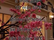 Bilder/Videos/Cam 50 - Oldenburg