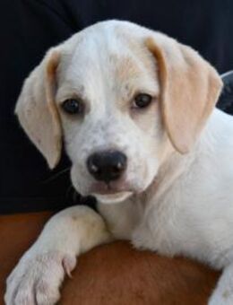 Sophie wünscht sich ein besseres Leben - Neuss