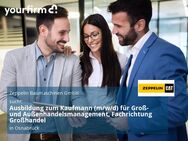 Ausbildung zum Kaufmann (m/w/d) für Groß- und Außenhandelsmanagement, Fachrichtung Großhandel - Osnabrück