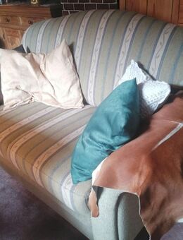 Retro Couch abzugeben, 155x58, keine Gebrauchsspuren - Wolfratshausen