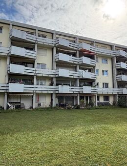 3,5-Zimmer Wohnung in Ulm - Ulm