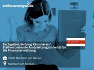 Sachgebietsleitung Kämmerei / Stellvertretende Amtsleitung (m/w/d) für die Finanzverwaltung - Marbach (Neckar)