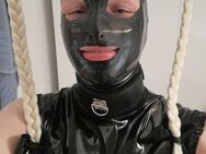 Sub Sissy sucht XXL Dom - Potsdam