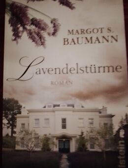 M.Baumann, "Lavendelstürme", der Duft von Lavendel, die Weinberge, wohl eine Zeit sich zu verlieben - Nürnberg Zentrum