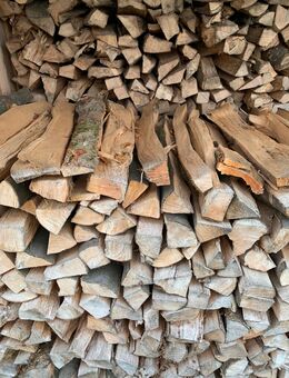 Brennholz Buche 1 Ster 110€ - Egloffstein