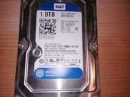 Festplatte 1 TB WD WD-Blue SATA3 - Hamburg Wandsbek