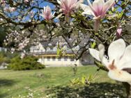 Stilvolle Privatresidenz in traumhafter Alleinlage - Ettringen (Rheinland-Pfalz)