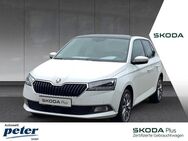 Skoda Fabia, CLEVER, Jahr 2021 - Nordhausen