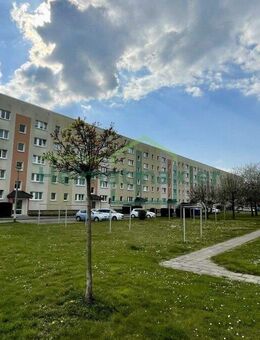 modernes Wohnen in der "Platte" - Aschersleben