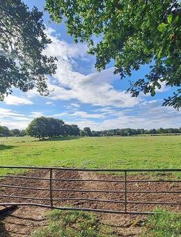 Ihr privater Rückzugsort mitten im Grünen! Idyllischer Landwohnsitz auf weitläufigem Grundstück... - Sülfeld
