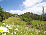 Landluft gewünscht? Bitteschön...Grafenhausen lässt mit einer schicken 3 Zi.-Wohnung grüssen! - Grafenhausen