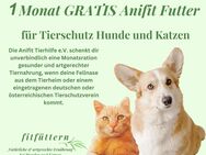 1 Monat gratis Anifit Futter für Tierschutz Hunde und Katzen - Duisburg