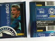 10 ungeöffnete Tüten - Panini-Bilder - HERTHA BSC BERLIN - OffizielleFanCollection 2000/01 - Offenbach (Main)