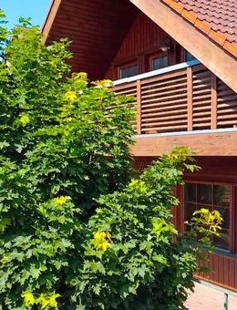 Charmantes Einfamilienhaus mit skandinavischem Flair! - Altdorf (Landkreis Esslingen)