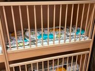 Kindertagespflege Etagenbetten 2x (Tagesmutter) - Sundern (Sauerland)