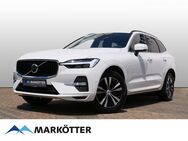 Volvo XC60, B4 Momentum Pro Stoff kariert 360CAM, Jahr 2022 - Bad Salzuflen