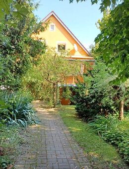 Grüne Oase - Schwarzenfeld