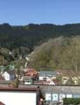 sonnige Single/Pendler/Pärchen WHG - Alpirsbach
