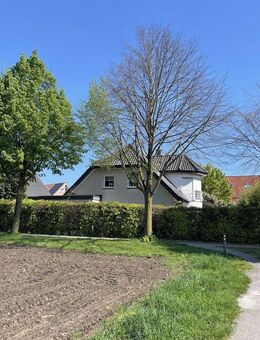 Ideale Lage am Feld - Entspannung pur ! Hochwertiges Einfamilienwohnhaus in Coesfeld-Lette - Coesfeld