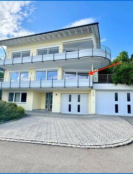Idylle Pur, exklusive 3,5 Zi.-Wohnung mit See-und Alpensicht, Balkon und Terrasse, sowie Garage! - Bodman-Ludwigshafen