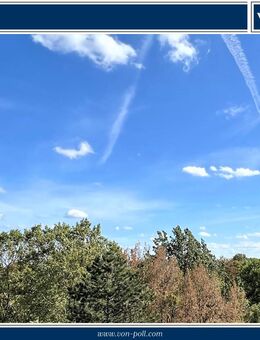 Dem Himmel ein Stück näher! Barrierefreies Penthouse mit großer Terrasse und fantastischem Fernblick - Bischofsheim