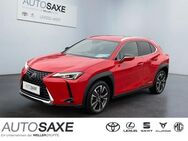 Lexus UX 250h, Amazing Edition, Jahr 2020 - Leipzig Alt-West