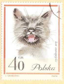 Polnische Briefmarken Katzen (436) - Hamburg