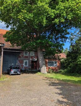 Großzügiges Bauernhaus mit weitläufigem Grundstück - Lahstedt