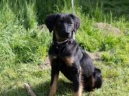 Kleine Muddy - Ellerbek