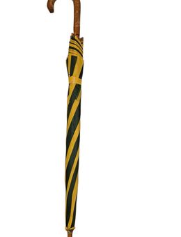 Stockschirm Grün Gelb - Frankfurt (Main) Niederursel