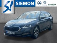 Skoda Octavia, 2.0 TDI EU6d-T Combi Style MatrLED e, Jahr 2021 - Lengerich (Nordrhein-Westfalen)