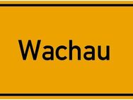 Wachau - Bauplatz in neuem Wohngebiet für Ihr Einfamilienhaus - Wachau