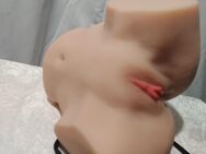 Sexpuppe Torso Masturbator Lifesize Big Ass lebensgroß Abdruck TPE - Hildesheim